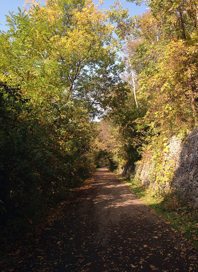 Autumn walks