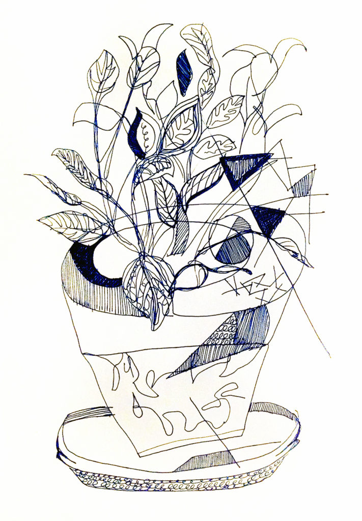 Drawing of a Plant