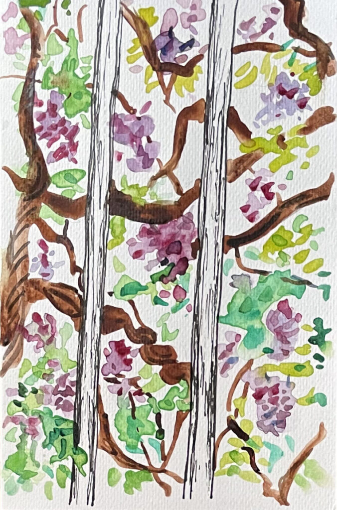 Fuji no Hana　藤の花